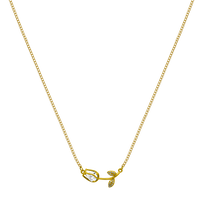 Forbidden Rose Kette 18K Vergoldet