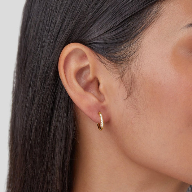Creolen Mit Kubischen Zirkonien Details In Jadefarbene Ausführung Mit Glänzendem Finish