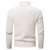 Herren-Rollkragenpullover - Darnel